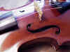 Violin8.jpg (63396 bytes)